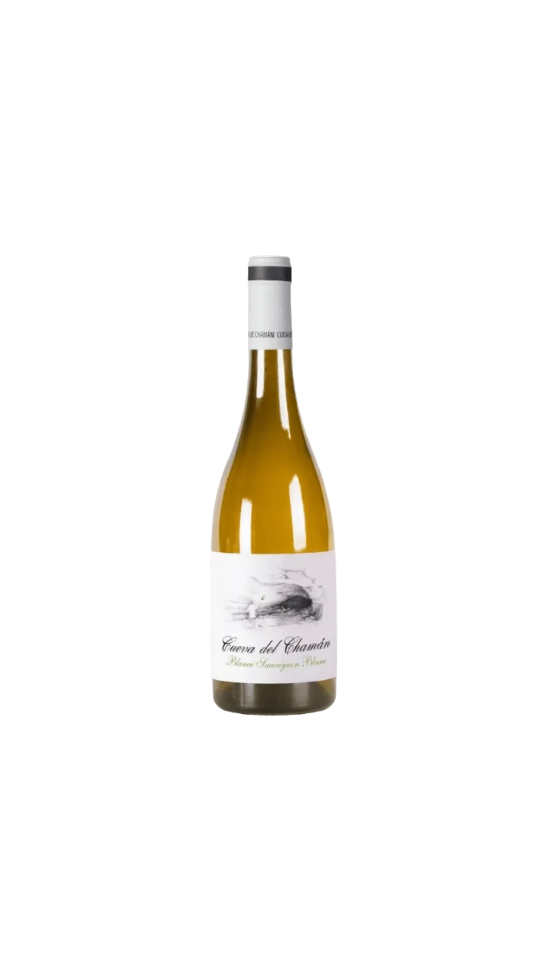 Bodegas Santa Cruz 'Cueva del Chaman' Sauvignon Blanc