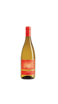 Nittardi Ben Vermentino