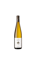 Baumann-Zirgel Pinot Gris BIO
